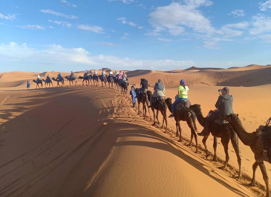 Caravane de dromadaires dans les dunes de Merzouga