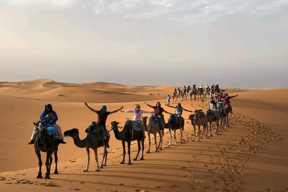 Caravane de dromadaires dans le désert au sud de Zagora